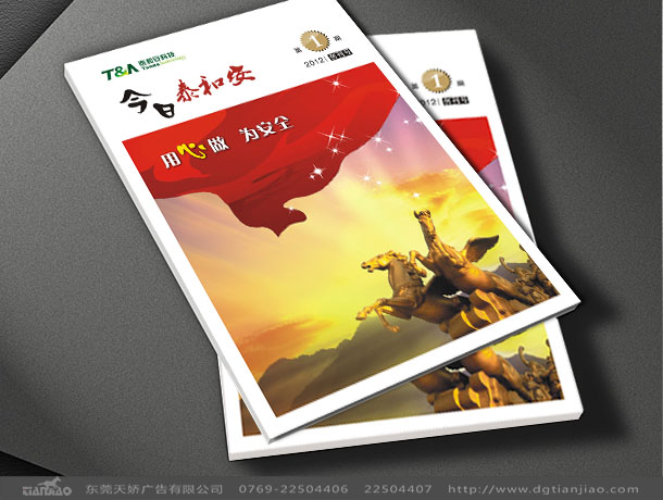 泰和安季刊設計