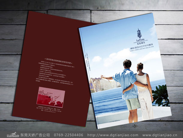 東莞地産宣傳冊設計