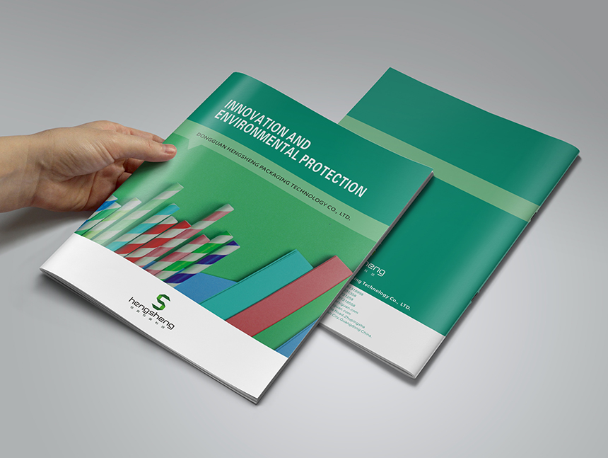 包裝制品宣傳(chuán)冊(cè)設計_恒盛包裝制品宣傳(chuán)冊(cè)印刷
