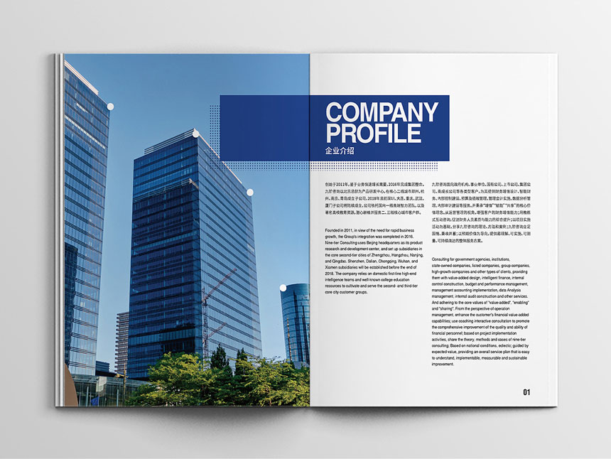 金融服務公司畫冊(cè)設計_财務公司宣傳(chuán)冊(cè)設計制作欣賞