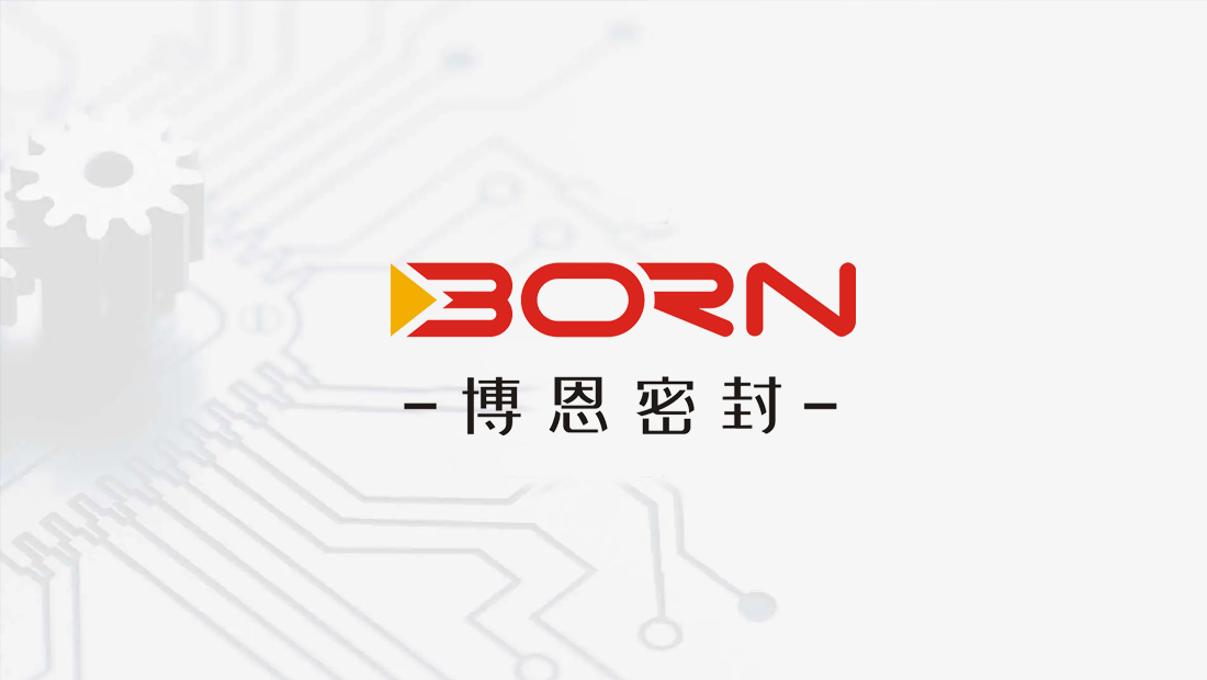 博恩密封技術标志設(shè)計(jì)案例_公司标志設(shè)計(jì)