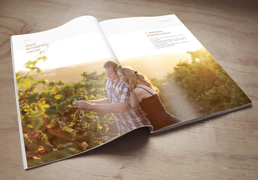 專業的畫冊設計公司設計20頁的畫冊收費标準是多少？