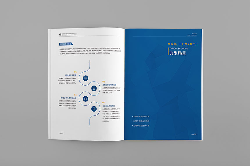 鷹眼通網絡科技宣傳(chuán)畫冊(cè)設計制作