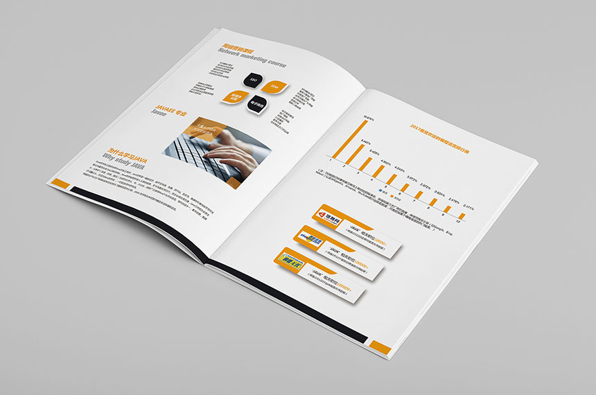網絡科技公司畫冊(cè)設計_網絡科技宣傳(chuán)冊(cè)設計制作