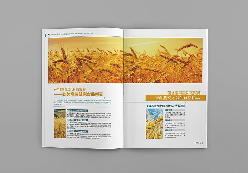 教你如何快速找到企業畫冊設計的網站