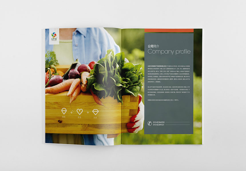 東莞畫冊印刷_畫冊制作用實力說話！