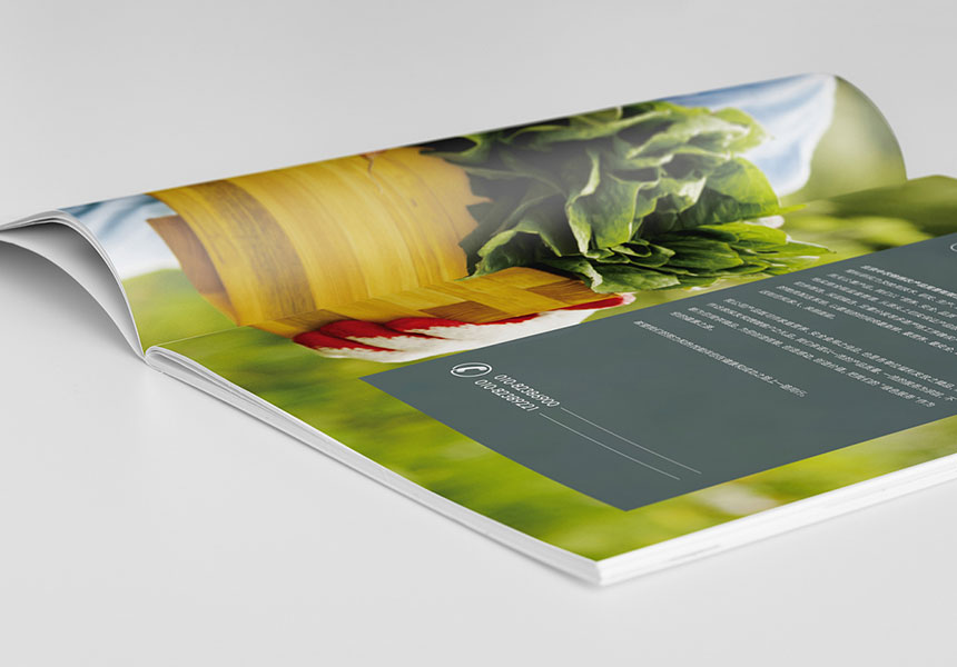 東莞莞城畫冊設計_天嬌做企業畫冊20年_老品牌值得信賴