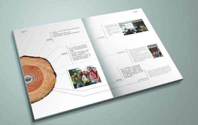 頂尖八款品牌畫冊設計案例欣賞-天嬌成立20年隻爲做高端