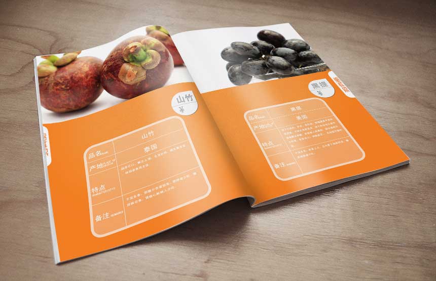 合肥設計公司_實現個性化的畫冊排版設計 