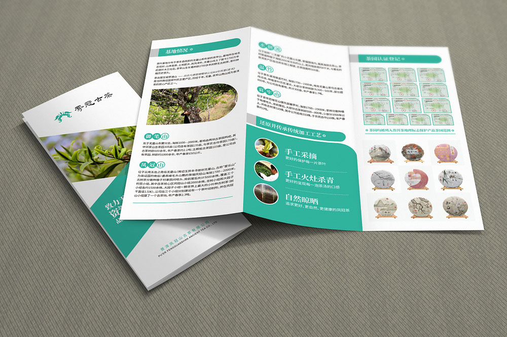 食品創意宣傳折頁設計-全面營造美食文化