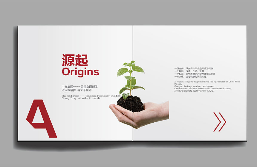 單位畫冊設計選擇一家合适的國際品牌設計