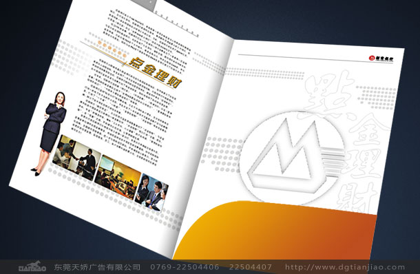 東莞政府畫冊設計