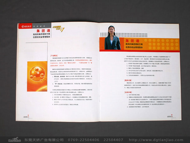 東莞政府彩頁設計