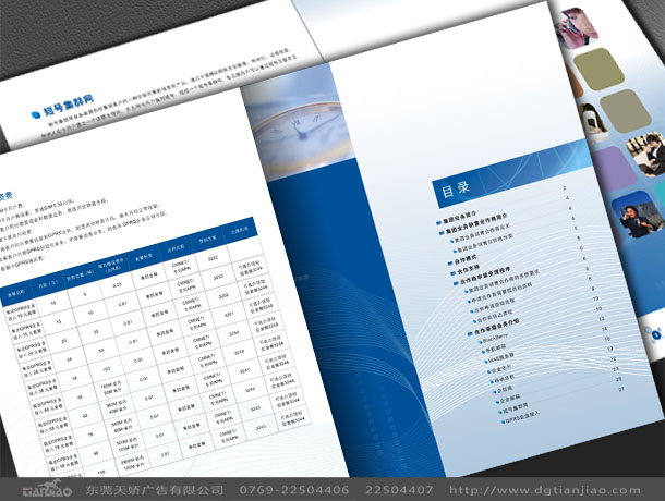 東莞政府畫冊封面設計