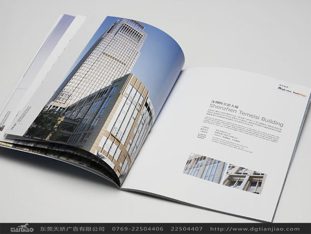 東莞科技畫冊設計欣賞