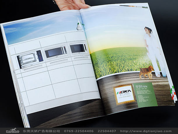 東莞家具畫冊設計欣賞